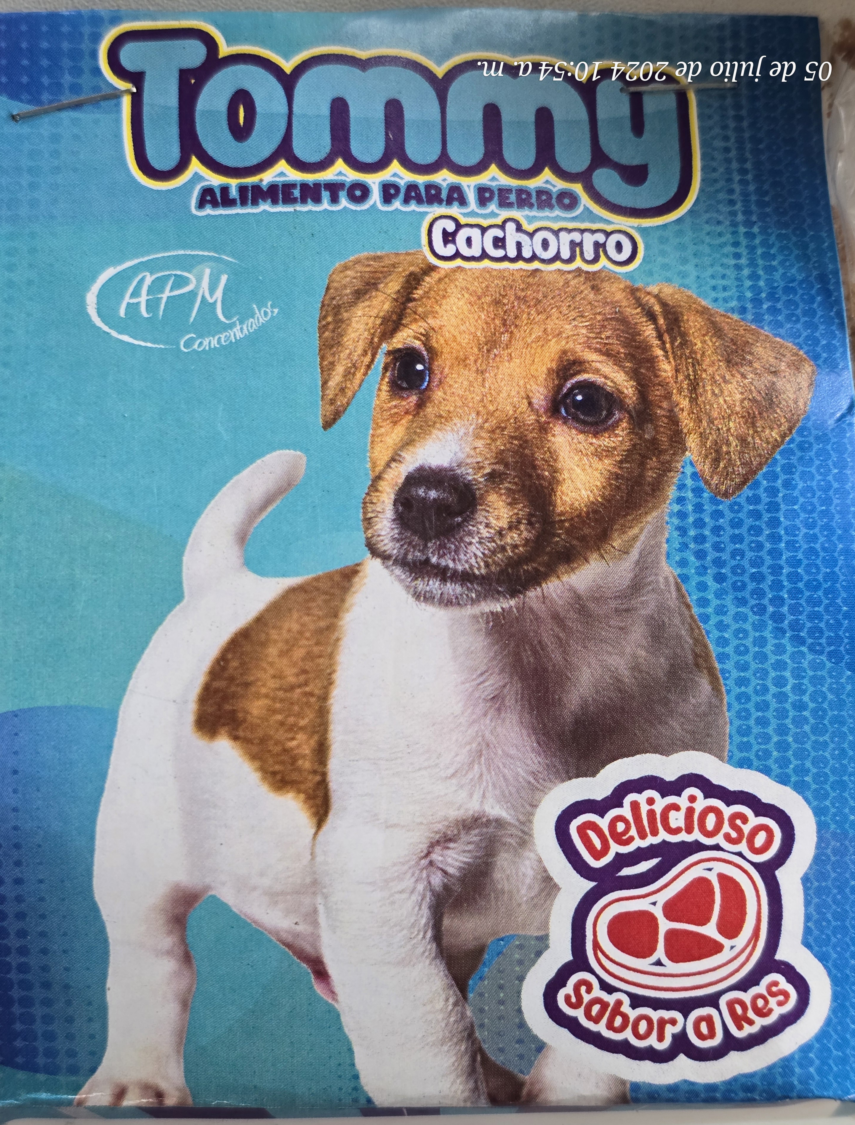 TOMMY CACHORRO
