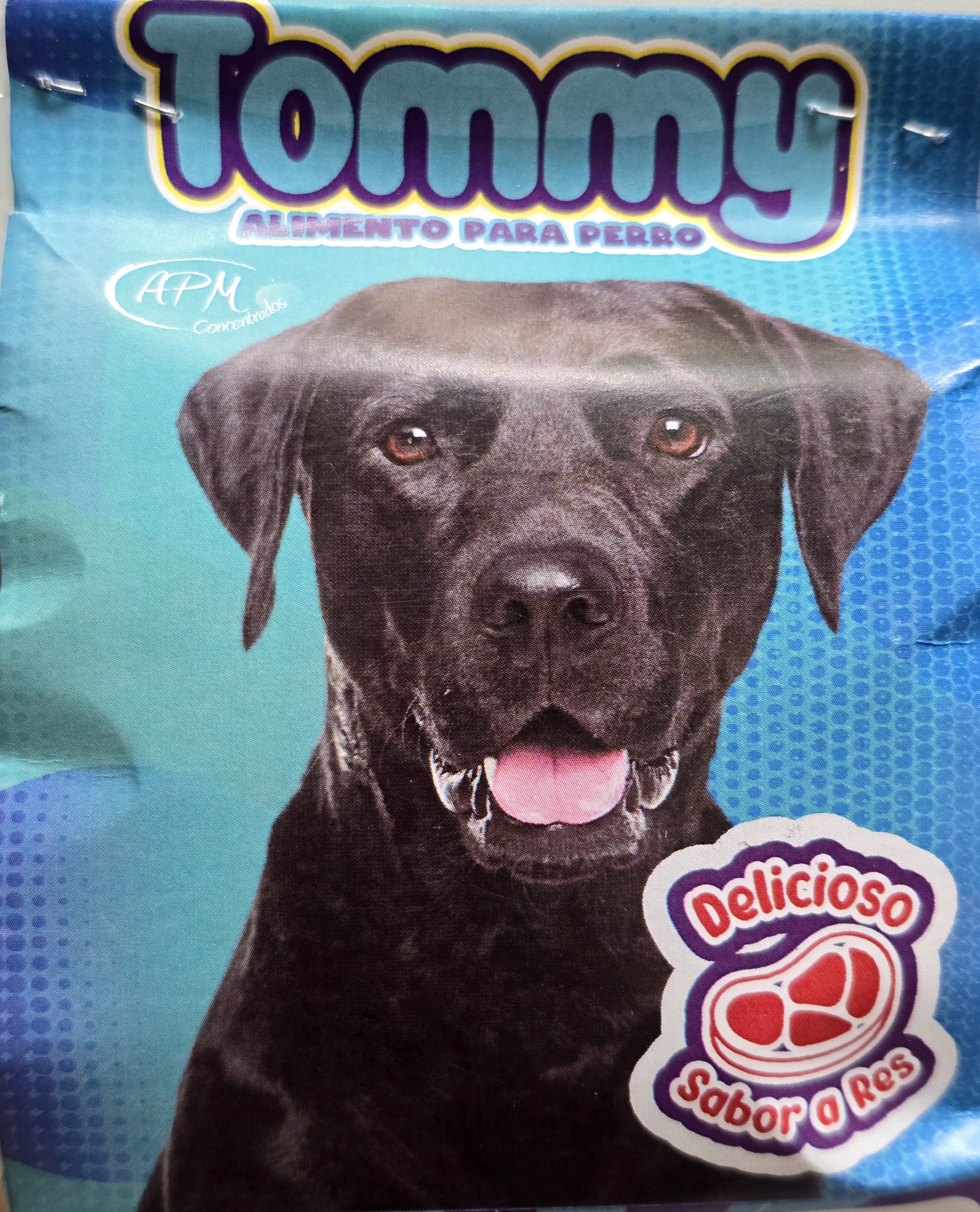 TOMMY ADULTO